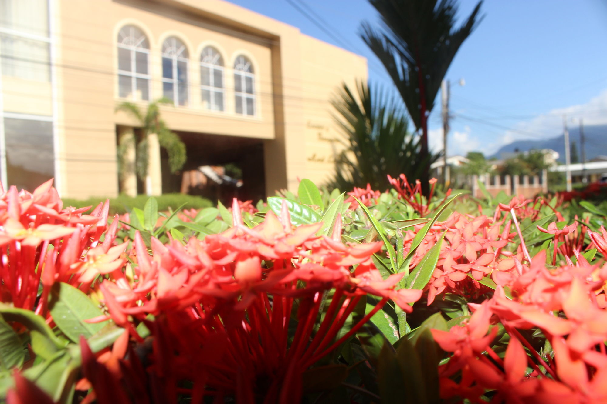 Hotel La Quinta La Ceiba Bagian luar foto